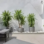 Sunny Cozy Penthouse With A Terrace At Plaza Del Carmen