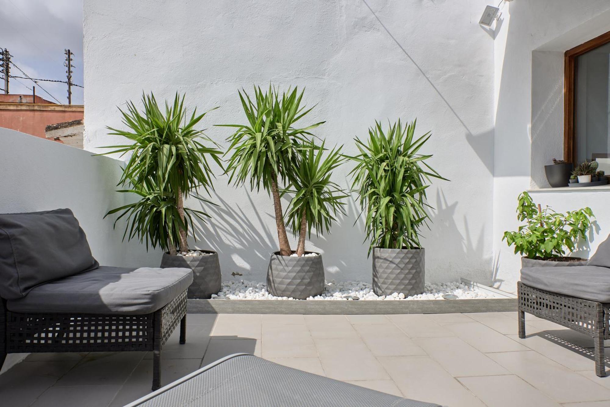 Sunny Cozy Penthouse With A Terrace At Plaza Del Carmen *